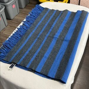 GAP Blue & Gray Stripe Scarf with Fringe